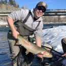 A man in waders and Service uniform holds a large steelhead while standing in a river, ready to put the fish into a net held by another person.