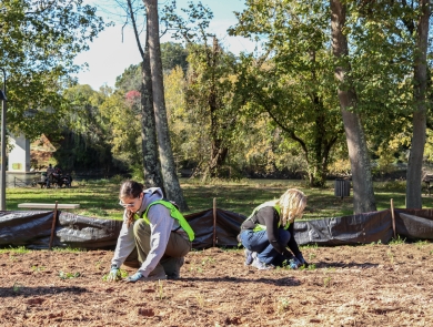 Two people, back-to-back, planting in cleared soil