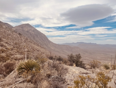 a mountain landscape