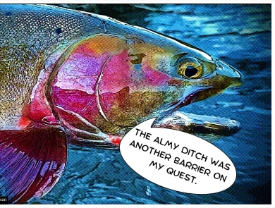 Bear River Cutthroat Trout with a speech bubble reading "The Almy Ditch was another barrier on my quest"