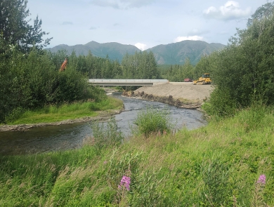 a bridge over a river in the distance with mountains in the background and pink fireweed flowers in the foreground