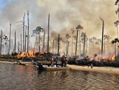 Prescribed burn on island