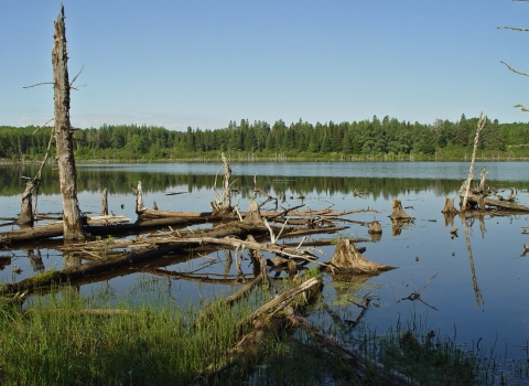 Far north lake reflects conifers at Arookstook National Wildlife Refuge in Maine