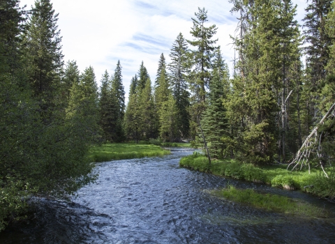 deschutes river oregon