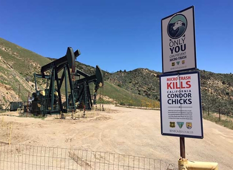 Two large signs with information about California condors