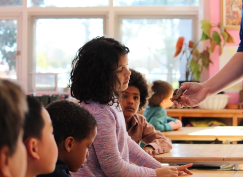 Girl looks at shell in the classroom