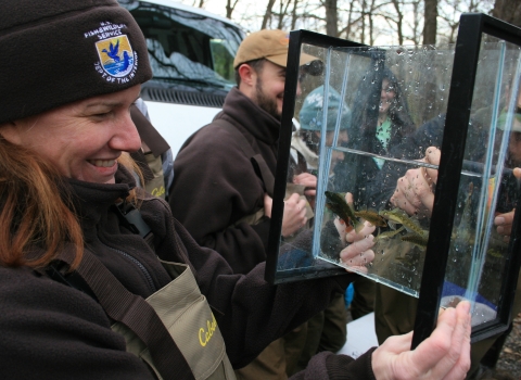 woman looking thru glass at fish