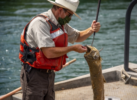 a man in a boat on a river holds a hook with a dead salmon on it.