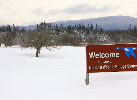 A brown sign in a snow field. On the sign are the words "Welcome to Your National Wildlife Refuge System" and a Blue Goose symbol 