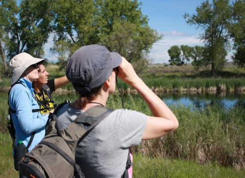 Three people birdwatching at the edge of the lake 