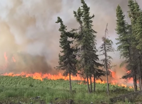 Firefighters work to contain the Swan Lake Fire in Alaska in 2019.