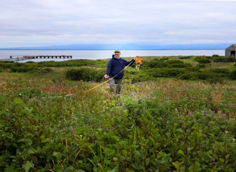 man holding a measuring tape standing in a lush green field