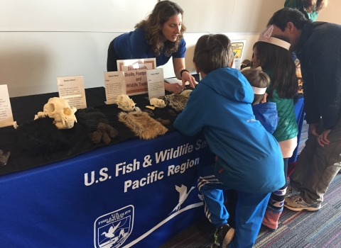 Environmental Education table at the Oregon Zoo