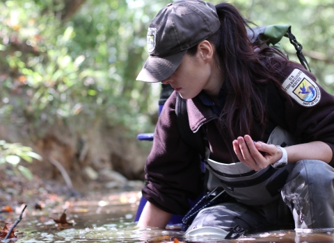 Female biologist kneeling in the water, one hand in the water, the other, cupped, holding mussels