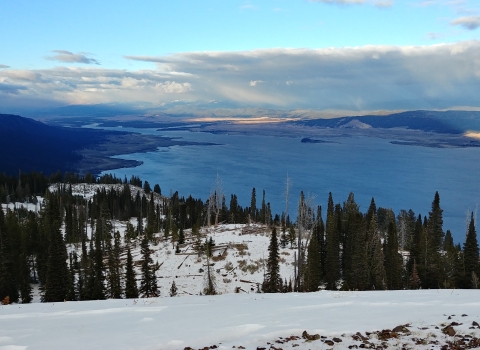 A snowy Scene with a lake in the background