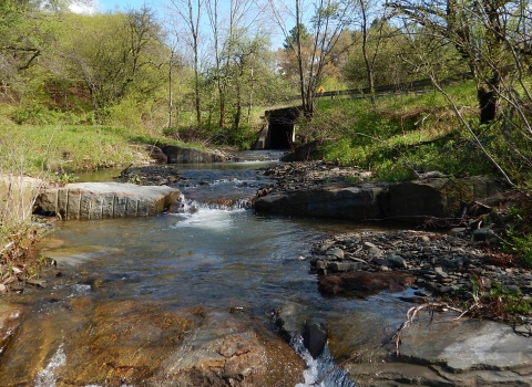 A stream flows under a small bridge in wooded area.