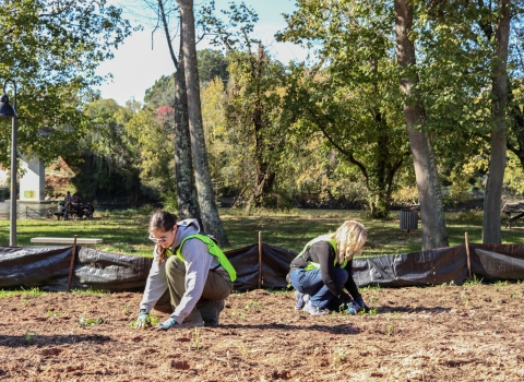 Two people, back-to-back, planting in cleared soil