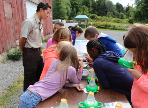 Students viewing aquatic macroinvertebrates