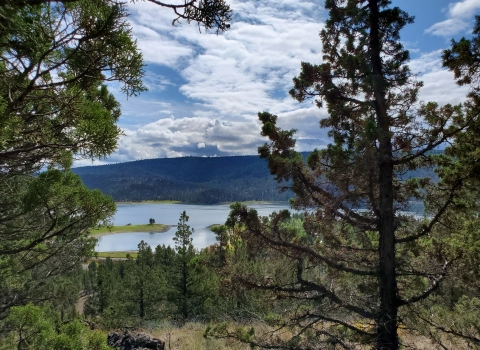 Ochoco Lake Oregon