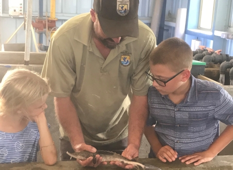 Deputy Manager of Edenton NFH, Sam Pollock, shows lake sturgeon to children