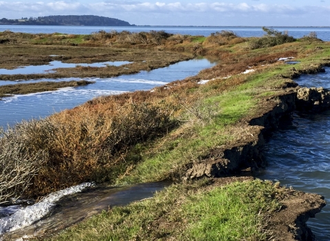 Blue skies with areas of land with water flowing through them.