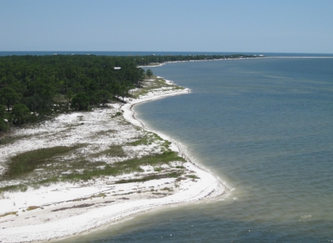 Aerial view of coastline with coastal vegetation dominating white, sandy beach.