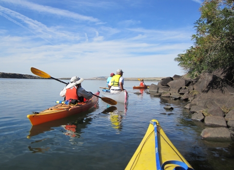 group of kayakers and canoers boating along edge of island