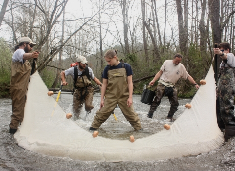 A team of biologists stretch a seine across a river.