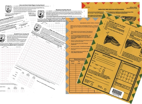 Migratory Bird Hunter Survey Forms and Parts Collection Survey Envelopes