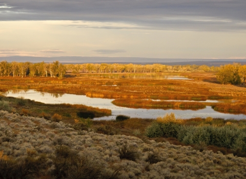 Overlooking a wetland surrounded by brown and tan grassland and shrubland