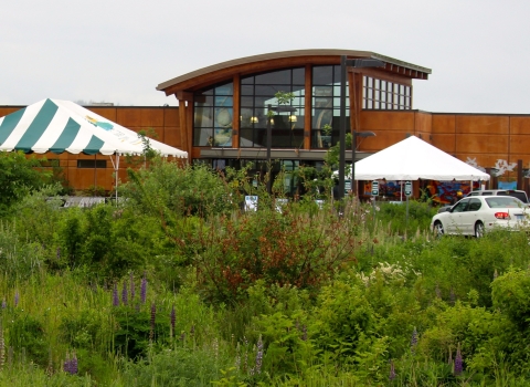 Modern-looking brown building with a curved atrium with vegetation in the foreground