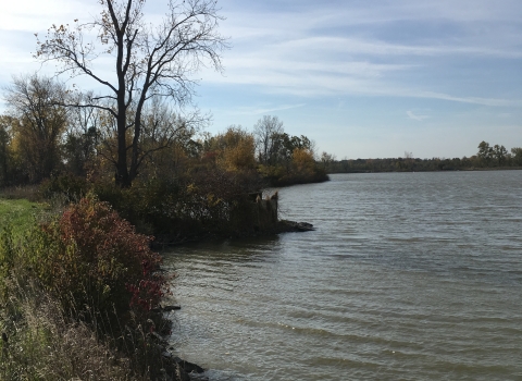 Ottawa River, Toledo, Ohio