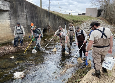 Biologists from the Service and State search for the Yoknapatawpha darter in Smith Creek in Calhoun County, Mississippi, on February 1, 2022.