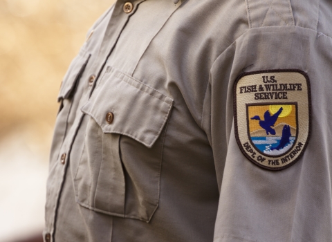 Close up of a USFWS patch on a uniform shirt