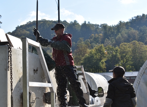 Erwin NFH employee loading fish into distribution truck tanks