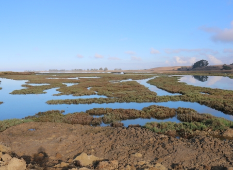 View of California's Elkhorn Slough 