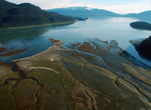 Aerial view of coastal wetland at low tide with snow capped mountains in the background.