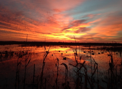 Sun peeks through orange and pink clouds over calm marsh.