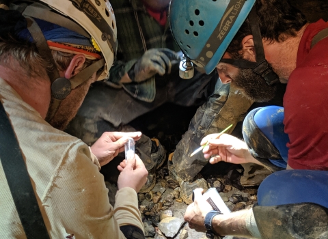 Biologists from USFWS and USGS collecting specimen during Fern Cave bioinventory.