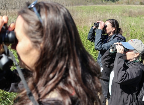 Three people in a field, holding binoculars to their eyes