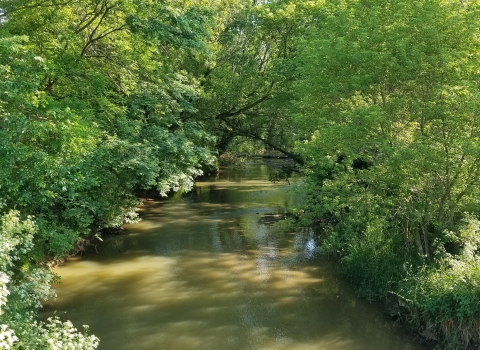 Sugar Creek at Arnold Road