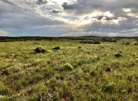 A grassy open field with sunlight breaking through the clouds.