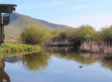 An overlook near a pond.