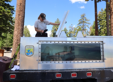 A woman holds a monitoring device up to a tank that holds medium sized fish