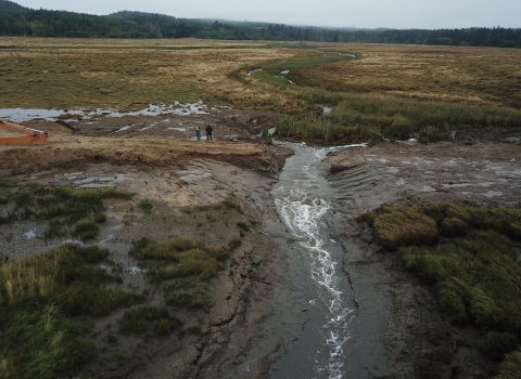 Water flowing through slough into marsh.