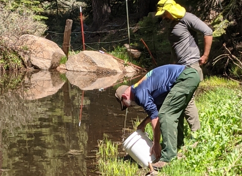 two men standing at the edge of water in a forest, one leaning down with a white bucket to release frog eggs