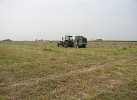 Haying Equipment at Bison WPA