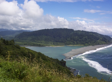 an areal shot of an estuary