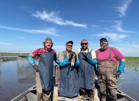 4 biologists standing on a boat in a wetland and one biologist is holding a duck