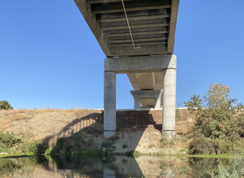 the underside of a railway bridge over water with greenery at the shore